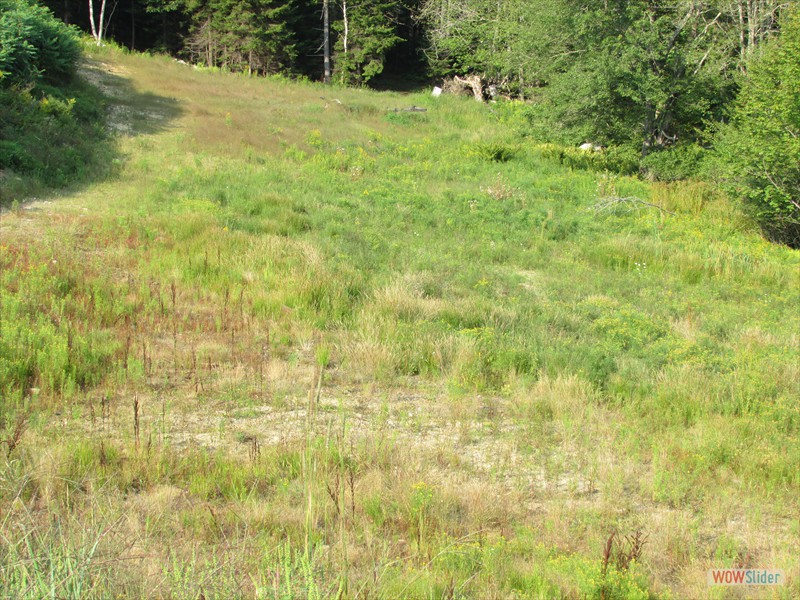 Valley Section - For Future Expansion