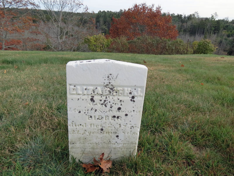 Elizabeth J. Bibber monument